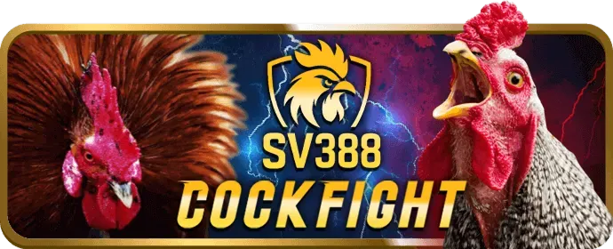Hướng dẫn cách tham gia Câu lạc bộ VIP bongbet win
