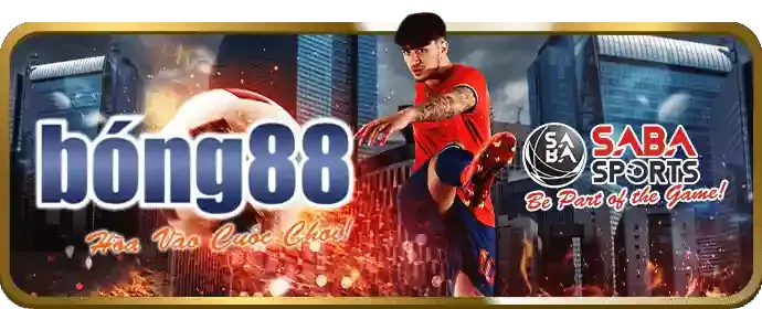 Mẹo cá cược chuyên nghiệp bongbet win